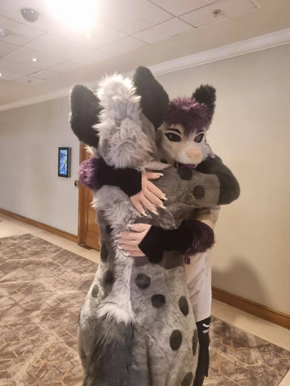 img13